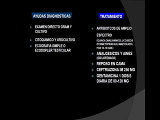 Anticuerpos
                 secretores Ig A    Inducción de
   Respuesta                                       Inducción de
                  y circulantes    producción de
inmunitaria en                                       respuesta
                    Ig G.en la       anticuerpos
  el intestino                                     inmune local
                     mucosa            séricos
                    intestinal
 