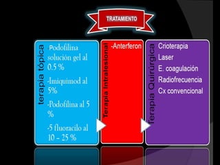 Poliovirus




Picornaviridae
 