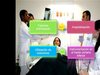 dolor en el sitio de la aplicación

temperatura mayor de 37.7 º C

desfallecimiento, astenia cefalea

náuseas, vómito

rash cutáneo
 