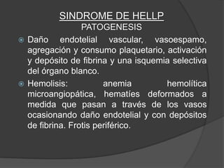 SINDROME DE HELLP
                 PATOGENESIS
 Daño     endotelial vascular, vasoespamo,
  agregación y consumo plaquetario, activación
  y depósito de fibrina y una isquemia selectiva
  del órgano blanco.
 Hemolisis:           anemia        hemolítica
  microangiopática, hematíes deformados a
  medida que pasan a través de los vasos
  ocasionando daño endotelial y con depósitos
  de fibrina. Frotis periférico.
 