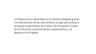 La filoquinona es absorbida en el intestino delgado gracias
a la intervención de las sales biliares, el jugo pancreático y
las grasas provenientes de la dieta. Se transporta a través
de la linfa junto a quilomicrones y lipoproteínas y se
deposita en el hígado.
 