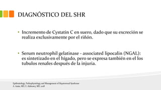 DIAGNÓSTICO DEL SHR
• Incremento de Cystatin C en suero, dado que su excreción se
realiza exclusivamente por el riñón.
• Serum neutrophil gelatinase - associated lipocalin (NGAL):
es sintetizado en el hígado, pero se expresa también en el los
tubulos renales después de la injuria.
 