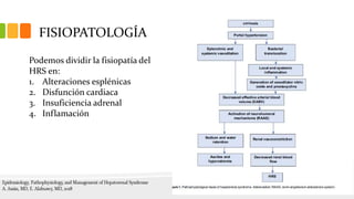 FISIOPATOLOGÍA
Podemos dividir la fisiopatía del
HRS en:
1. Alteraciones esplénicas
2. Disfunción cardiaca
3. Insuficiencia adrenal
4. Inflamación
 