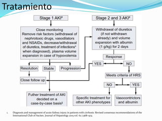 1. Diagnosis and management of acute kidney injury in patients with cirrhosis: Revised consensus recommendations of the
International Club of Ascites. Journal of Hepatology 2015 vol. 62 j 968–974
Tratamiento
 