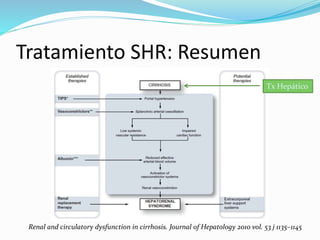 Tratamiento SHR: Resumen
Renal and circulatory dysfunction in cirrhosis. Journal of Hepatology 2010 vol. 53 j 1135–1145
Tx Hepático
 