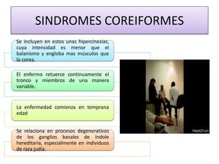 SINDROMES COREIFORMES
Se incluyen en estos unas hipercinesias,
cuya intensidad es menor que el
balanismo y engloba mas músculos que
la corea.
El enfermo retuerce continuamente el
tronco y miembros de una manera
variable.
La enfermedad comienza en temprana
edad
Se relaciona en procesos degenerativos
de los ganglios basales de índole
hereditaria, especialmente en individuos
de raza judía.
 