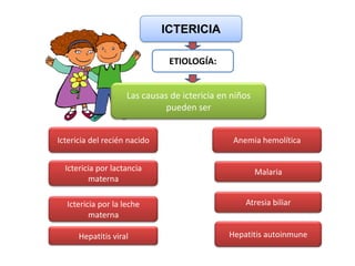 -  NO EXCRETABLE POR EL RIÑÓN.