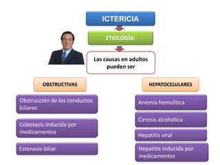 -  NO EXCRETABLE A VÍAS BILIARES.