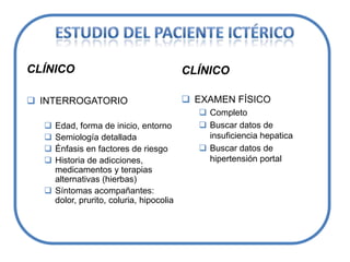 Síndrome de Dubin JohnsonSíndrome de RotorDirectaCausas de HiperbillirrubinemiaSíndrome de GilbertSindrome de CriglerNajjarIndirectaHemólisis Eritropoyesis inefectiva Reabsorción de Hematomas. 