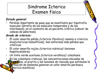 Sindrome Icterico
Examen fisico
Estado general:
• Pérdida importante de peso que se manifiesta por hipotrofia
muscular (atrofia de los músculos temporales y de los
interóseos), en el contexto de un paciente ictérico (cáncer de
cabeza de páncreas).
Grado de ictericia:
• El color amarillo pálido (ictericia flavínica]: anemia e ictericia
leve(ictericias hemolítícas). Son enfermos más pálidos que
ictéricos.
• El color amarillo rojizo (ictericia rubinica) :lesiones
hepatocelulares.
• Un tinte verde aceituna (ictericia verdínica]: colestasis.
• En las colestasis crónicas, las concentraciones elevadas de
bilirrubina, el prurito y las lesiones de rascado que estimulan la
formación de melanina generan un color amarillo pardusco
(ictericia mielínica).
 