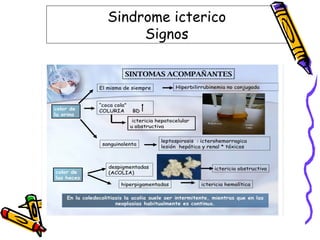 Sindrome icterico
Signos
 