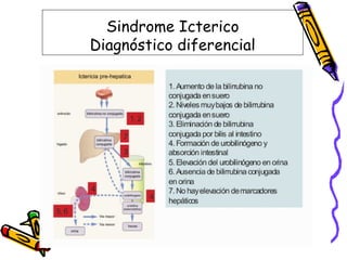 Sindrome Icterico
Diagnóstico diferencial
 