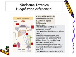 Sindrome Icterico
Diagnòstico diferencial
 