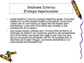 Sindrome Icterico
Etiologia hepatocelular
• Causa hepática ictericia incluyen hepatitis aguda, toxicidad
hepática y la enfermedad hepática alcohólica, la necrosis
celular por el cual reduce la capacidad del hígado para
metabolizar y excretar bilirrubina que conduce a una
acumulación en la sangre.
• Las causas menos comunes son: cirrosis biliar primaria, el
síndrome de Gilbert (un trastorno genético del metabolismo
de la bilirrubina, que puede dar lugar a una ictericia leve,
que se encuentra en alrededor del 5% de la población), el
síndrome de Crigler-Najjar, carcinoma metastásico y la
enfermedad de Niemann-Pick.
 