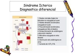 Sindrome Icterico
Diagnostico diferencial
 