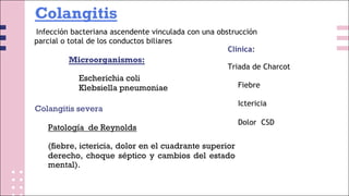 Colangitis
Infección bacteriana ascendente vinculada con una obstrucción
parcial o total de los conductos biliares
Microorganismos:
• Escherichia coli
• Klebsiella pneumoniae
Colangitis severa
Patología de Reynolds
(fiebre, ictericia, dolor en el cuadrante superior
derecho, choque séptico y cambios del estado
mental).
Clínica:
Triada de Charcot
• Fiebre
• Ictericia
• Dolor CSD
 