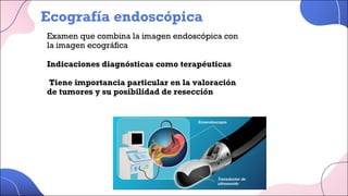 Ecografía endoscópica
Examen que combina la imagen endoscópica con
la imagen ecográfica
Indicaciones diagnósticas como terapéuticas
Tiene importancia particular en la valoración
de tumores y su posibilidad de resección
 