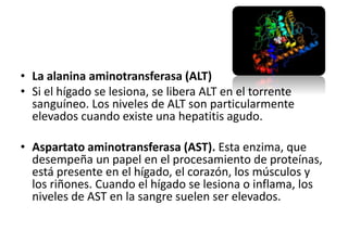 • La alanina aminotransferasa (ALT) 
• Si el hígado se lesiona, se libera ALT en el torrente 
sanguíneo. Los niveles de ALT son particularmente 
elevados cuando existe una hepatitis agudo. 
• Aspartato aminotransferasa (AST). Esta enzima, que 
desempeña un papel en el procesamiento de proteínas, 
está presente en el hígado, el corazón, los músculos y 
los riñones. Cuando el hígado se lesiona o inflama, los 
niveles de AST en la sangre suelen ser elevados. 
 