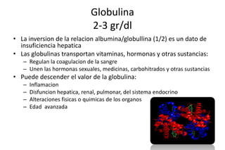 Globulina 
2-3 gr/dl 
• La inversion de la relacion albumina/globullina (1/2) es un dato de 
insuficiencia hepatica 
• Las globulinas transportan vitaminas, hormonas y otras sustancias: 
– Regulan la coagulacion de la sangre 
– Unen las hormonas sexuales, medicinas, carbohitrados y otras sustancias 
• Puede descender el valor de la globulina: 
– Inflamacion 
– Disfuncion hepatica, renal, pulmonar, del sistema endocrino 
– Alteraciones fisicas o quimicas de los organos 
– Edad avanzada 
 