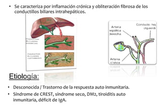 • Se caracteriza por inflamación crónica y obliteración fibrosa de los 
conductillos biliares intrahepáticos. 
Etiología: 
• Desconocida / Trastorno de la respuesta auto inmunitaria. 
• Síndrome de CREST, síndrome seco, DM2, tiroiditis auto 
inmunitaria, déficit de IgA. 
 