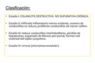 Clasificación: 
• Estadio I: COLANGITIS DESTRUCTIVA NO SUPURATIVA CRÓNICA. 
• Estadio II: infiltrado inflamatorio menos evidente, numero de 
conductillos se reduce, proliferan conductillos de menor calibre. 
• Estadio III: reduce conductillos interlobulillares, perdida de 
hepatocitos, expansión de fibrosis peri portal, forman red 
cicatrizal del tejido conjuntivo. 
• Estadio IV: cirrosis (micro/macronodular). 
 