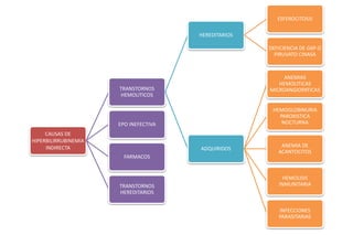 CAUSAS DE 
HIPERBILIRRUBINEMIA 
INDIRECTA 
TRANSTORNOS 
HEMOLITICOS 
HEREDITARIOS 
ESFEROCITOSIS 
DEFICIENCIA DE G6P O 
PIRUVATO CINASA 
ADQUIRIDOS 
ANEMIAS 
HEMOLITICAS 
MICROANGIOPATICAS 
HEMOGLOBINURIA 
PAROXISTICA 
NOCTURNA 
ANEMIA DE 
ACANTOCITOS 
HEMOLISIS 
INMUNITARIA 
INFECCIONES 
PARASITARIAS 
EPO INEFECTIVA 
FARMACOS 
TRANSTORNOS 
HEREDITARIOS 
 