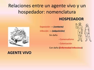 Relaciones entre un agente vivo y un
    hospedador: nomenclatura
                                  HOSPEDADOR
              Exposición → (contacto)
              Infección → (adquisición)
                       Sin daño
                                  - Comensalismo
                                  - Colonización
                       Con daño (Enfermedad Infecciosa)

AGENTE VIVO
 