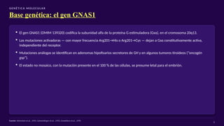 G E N É T I C A M O L EC U L A R
Base genética: el gen GNAS1
▪ El gen GNAS1 (OMIM 139320) codifica la subunidad alfa de la proteína G estimuladora (Gsα), en el cromosoma 20q13.
▪ Las mutaciones activadoras — con mayor frecuencia Arg201→His o Arg201→Cys — dejan a Gsα constitutivamente activa,
independiente del receptor.
▪ Mutaciones análogas se identifican en adenomas hipofisarios secretores de GH y en algunos tumores tiroideos (“oncogén
gsp”).
▪ El estado no mosaico, con la mutación presente en el 100 % de las células, se presume letal para el embrión.
Fuente: Weinstein et al., 1991; Schwindinger et al., 1992; Candeliere et al., 1995
6
 
