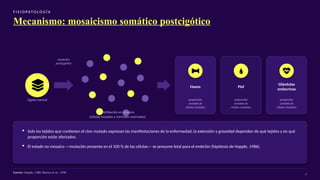 F I S I O PATO LO G Í A
Mecanismo: mosaicismo somático postcigótico
Cigoto normal
mutación
postcigótica
Distribución en mosaico
(células mutadas y normales mezcladas)
Hueso
proporción
variable de
células mutadas
Piel
proporción
variable de
células mutadas
Glándulas
endocrinas
proporción
variable de
células mutadas
▪ Solo los tejidos que contienen el clon mutado expresan las manifestaciones de la enfermedad; la extensión y gravedad dependen de qué tejidos y en qué
proporción están afectados.
▪ El estado no mosaico —mutación presente en el 100 % de las células— se presume letal para el embrión (hipótesis de Happle, 1986).
Fuente: Happle, 1986; Bianco et al., 1998
7
 
