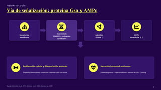 F I S I O PATO LO G Í A
Vía de señalización: proteína Gsα y AMPc
Receptor de
membrana
Gsα mutada
(GNAS1) — activación
constitutiva
Adenilato
ciclasa ↑
AMPc
intracelular ↑↑
Proliferación celular y diferenciación anómala
Displasia fibrosa ósea · manchas cutáneas café con leche
Secreción hormonal autónoma
Pubertad precoz · hipertiroidismo · exceso de GH · Cushing
Fuente: Weinstein et al., 1991; Akintoye et al., 2002; Bianco et al., 2000
8
 