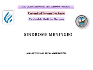ALVAREZ RAMOS ALEXANDER DENZEL
SINDROME MENINGEO
Facultad de Medicina Humana
Universidad Peruana Los Andes
“AÑO DEL FORTALECIMIENTO DE LA SOBERANÍA NACIONAL”
 