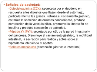 • Señales de saciedad:
•Colecistoquinina (CCK): secretada por el duodeno en
respuesta a los digestos que llegan desde el estómago,
particularmente las grasas. Retrasa el vaciamiento gástrico,
estimula la secreción de enzimas pancreáticas, produce
contracción de la vesícula biliar, promueve la liberación de
insulina y produce sensación de saciedad.
•Péptido YY (PYY): secretado por cél. de la pared intestinal y
del páncreas. Disminuye el vaciamiento gástrico, la motilidad
intestinal, la secreción pancreática y actúa sobre el
hipotálamo inhibiendo el apetito.
•Señales mecánicas (distención gástrica e intestinal)
 