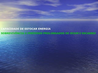 CAPACIDADE DE ESTOCAR ENERGIA SOBREVIVÊNCIA A PERÍODOS PROLONGADOS DE JEJUM E ESCASSEZ 