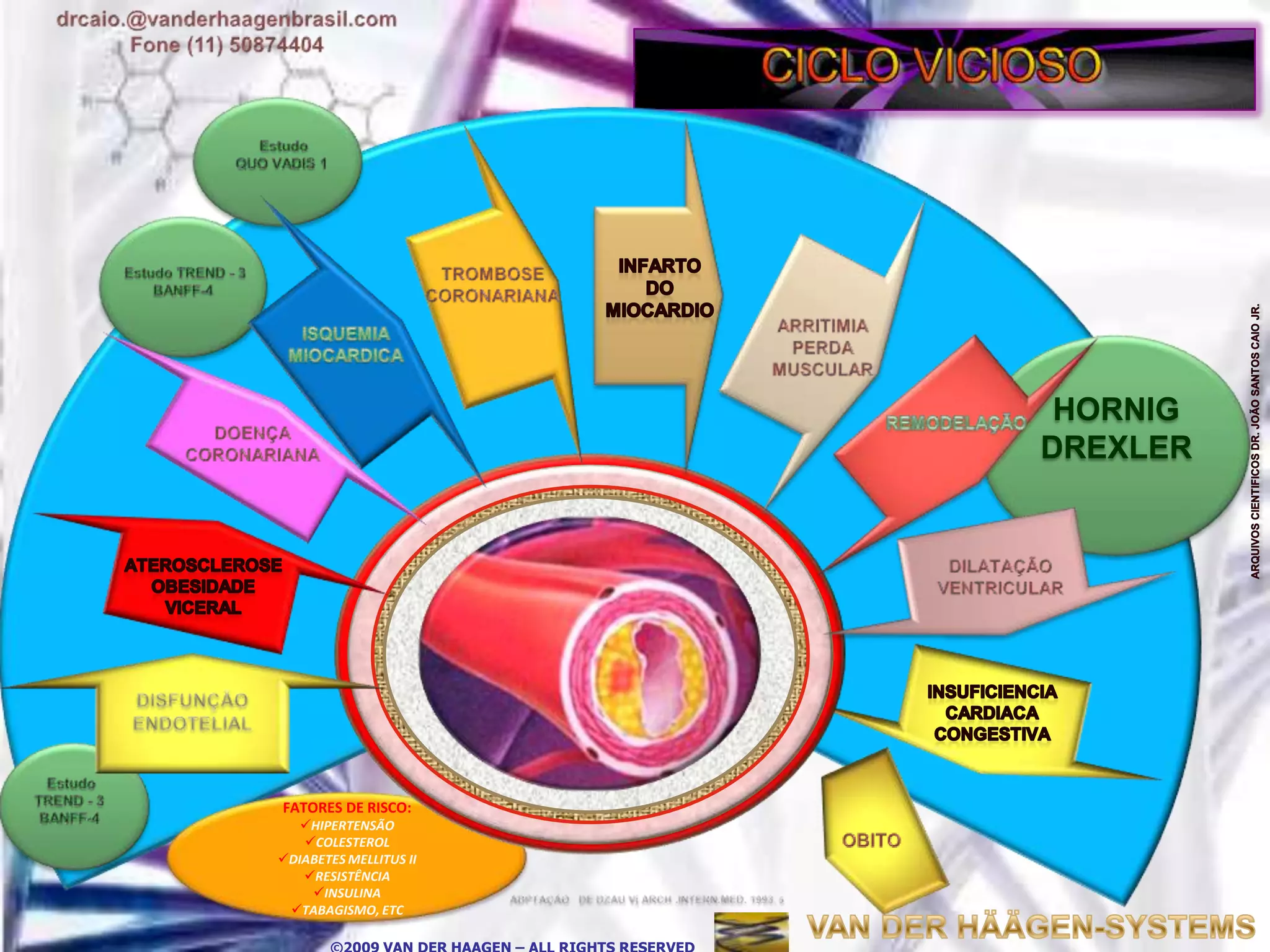 HORNIG
                        DREXLER




FATORES DE RISCO:
   HIPERTENSÃO
   COLESTEROL
DIABETES MELLITUS II
   RESISTÊNCIA
    INSULINA
 TABAGISMO, ETC
 