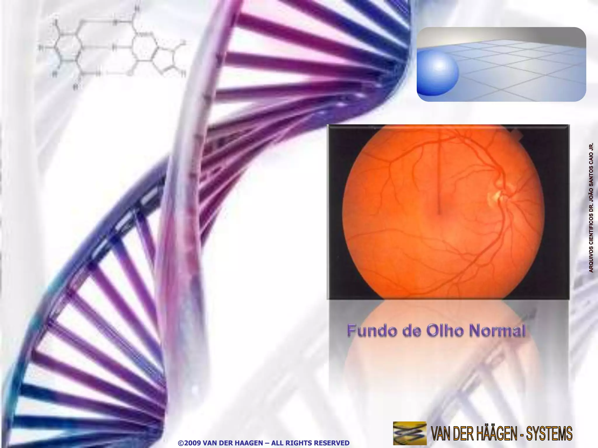 ©2009 VAN DER HAAGEN – ALL RIGHTS RESERVED
 