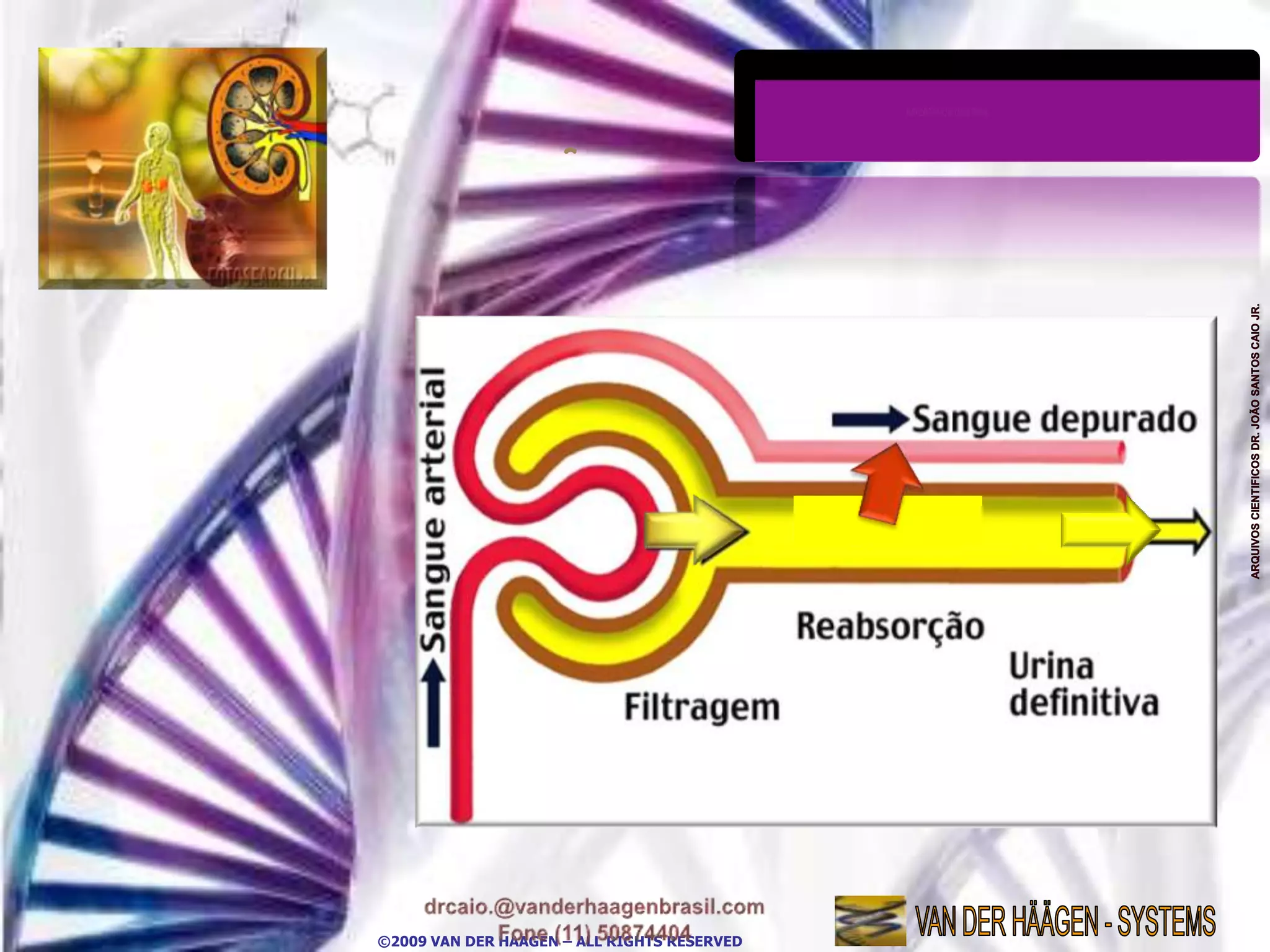 ©2009 VAN DER HAAGEN – ALL RIGHTS RESERVED
 