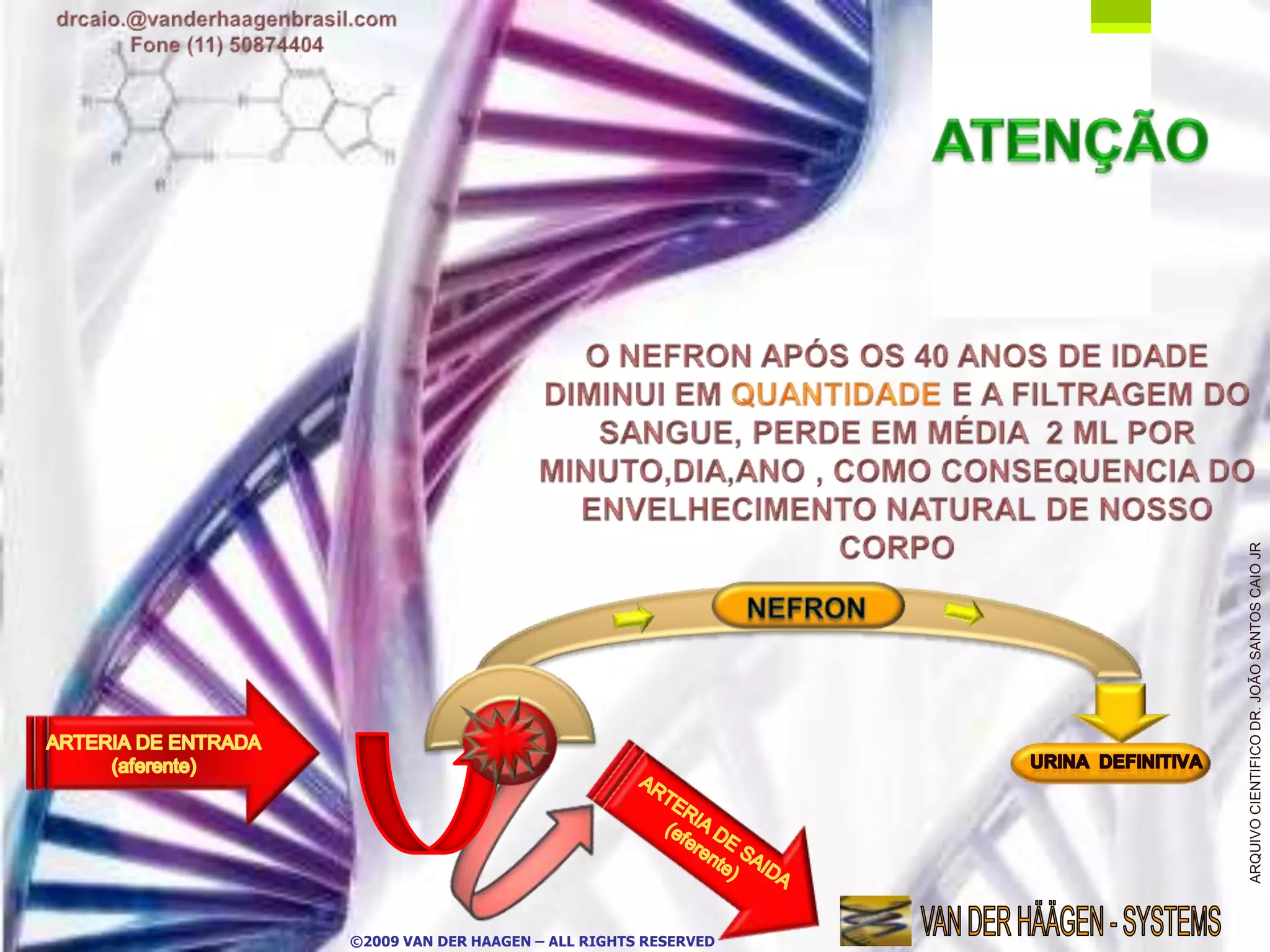 ARQUIVO CIENTIFICO DR. JOÃO SANTOS CAIO JR
©2009 VAN DER HAAGEN – ALL RIGHTS RESERVED
 