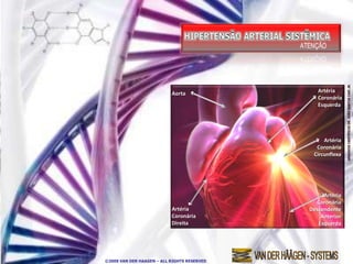 Aorta                Artéria
                                                Coronária
                                                Esquerda




                                                  Artéria
                                               Coronária
                                              Circunflexa




                                                  Artéria
                                               Coronária
                           Artéria           Descendente
                           Coronária             Anterior
                           Direita              Esquerda




©2009 VAN DER HAAGEN – ALL RIGHTS RESERVED
 