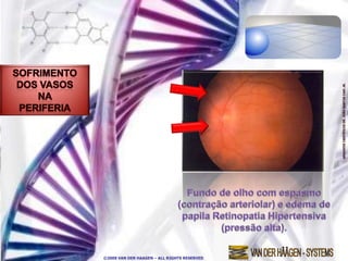 ©2009 VAN DER HAAGEN – ALL RIGHTS RESERVED
 