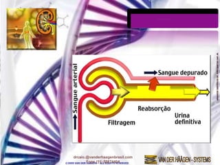 ©2009 VAN DER HAAGEN – ALL RIGHTS RESERVED
 