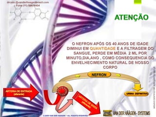 ARQUIVO CIENTIFICO DR. JOÃO SANTOS CAIO JR
©2009 VAN DER HAAGEN – ALL RIGHTS RESERVED
 