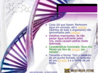  Coisa útil que fazem: Removem
                          água em excesso, sal e dejetos
                          (detritos de todo o organismo) não
                          aproveitados pelo sangue.
                         Detalhes importantes: Se não
                          passar água suficiente pelos
                          rins, esses causam pedras muito
                          dolorosas.
                         Características funcionais: Seus rins
                          filtram um litro de sangue por
                          minuto!
                         Tamanho e forma: Tem o tamanho
                          de um punho fechado (O tamanho
                          de seu coração ) e a forma de um
                          feijão.


©2009 VAN DER HAAGEN – ALL RIGHTS RESERVED
 