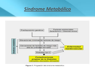 Síndrome Metabólico
 