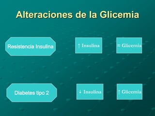 Alteraciones de la Glicemia


Resistencia Insulina   ↑ Insulina   ≈ Glicemia




   Diabetes tipo 2     ↓ Insulina   ↑ Glicemia
 