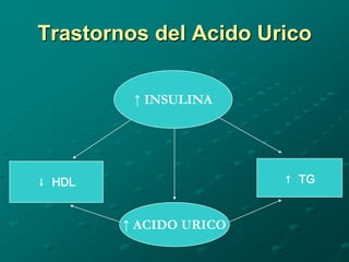 Trastornos del Acido Urico

         ↑ INSULINA




↓ HDL                   ↑ TG


        ↑ ACIDO URICO
 