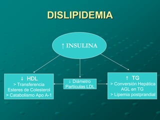 DISLIPIDEMIA

                         ↑ INSULINA




      ↓ HDL                                       ↑ TG
                           ↓ Diámetro
   > Transferencia                         > Conversión Hepática
                          Partículas LDL
 Esteres de Colesterol                          AGL en TG
> Catabolismo Apo A-1                      > Lipemia postprandial
 