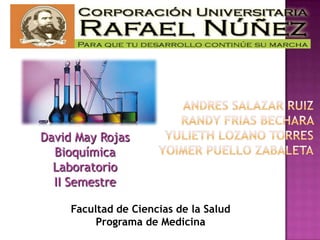 David May Rojas
Bioquímica
Laboratorio
II Semestre
Facultad de Ciencias de la Salud
Programa de Medicina

 
