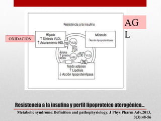 Resistencia a la insulina y perfil lipoproteico aterogènico…
AG
LOXIDACIÒN
Metabolic syndrome:Definition and pathophysiology. J Phys Pharm Adv.2013,
3(3):48-56
 