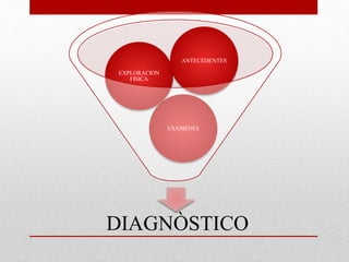 DIAGNÒSTICO
EXAMENES
EXPLORACION
FISICA
ANTECEDENTES
 