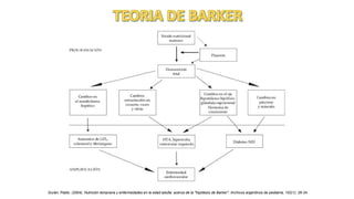 Durán, Pablo. (2004). Nutrición temprana y enfermedades en la edad adulta: acerca de la "hipótesis de Barker". Archivos argentinos de pediatría, 102(1), 26-34
 